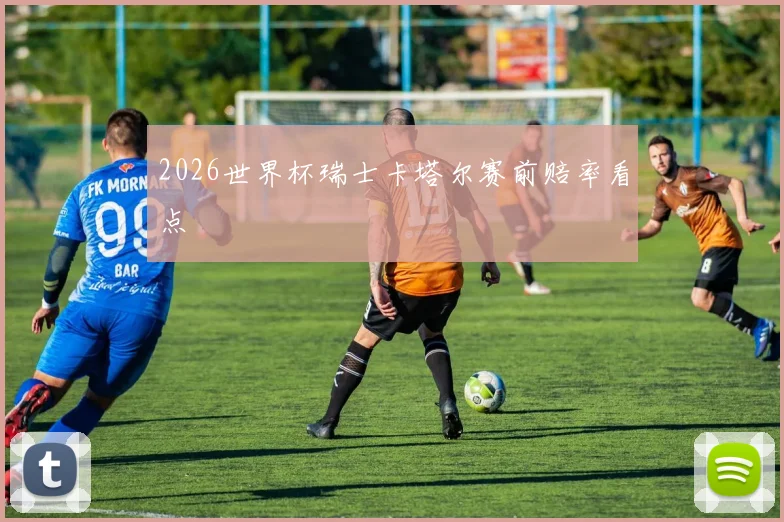 2026世界杯瑞士卡塔尔赛前赔率看点
