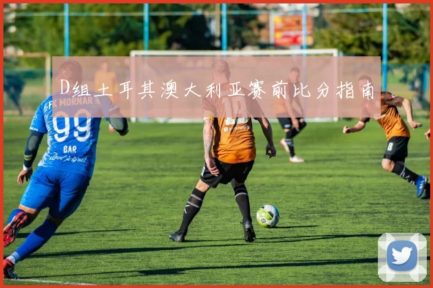 D组土耳其澳大利亚赛前比分指南