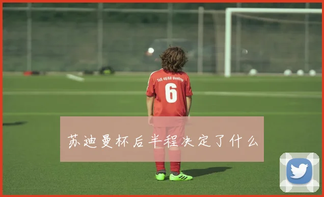 苏迪曼杯后半程决定了什么